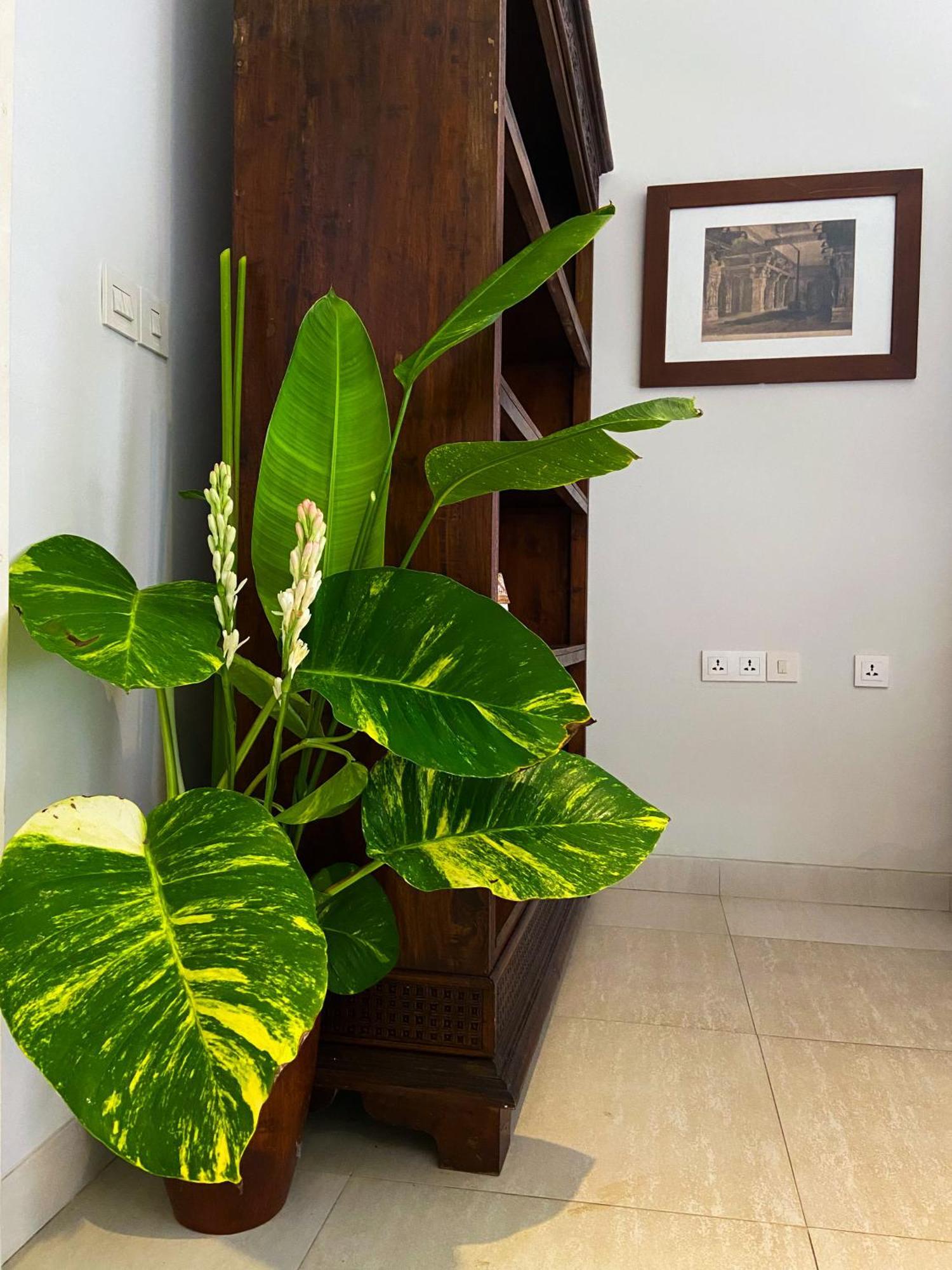 Raaga Samudra Villa Padangbai  Exterior foto